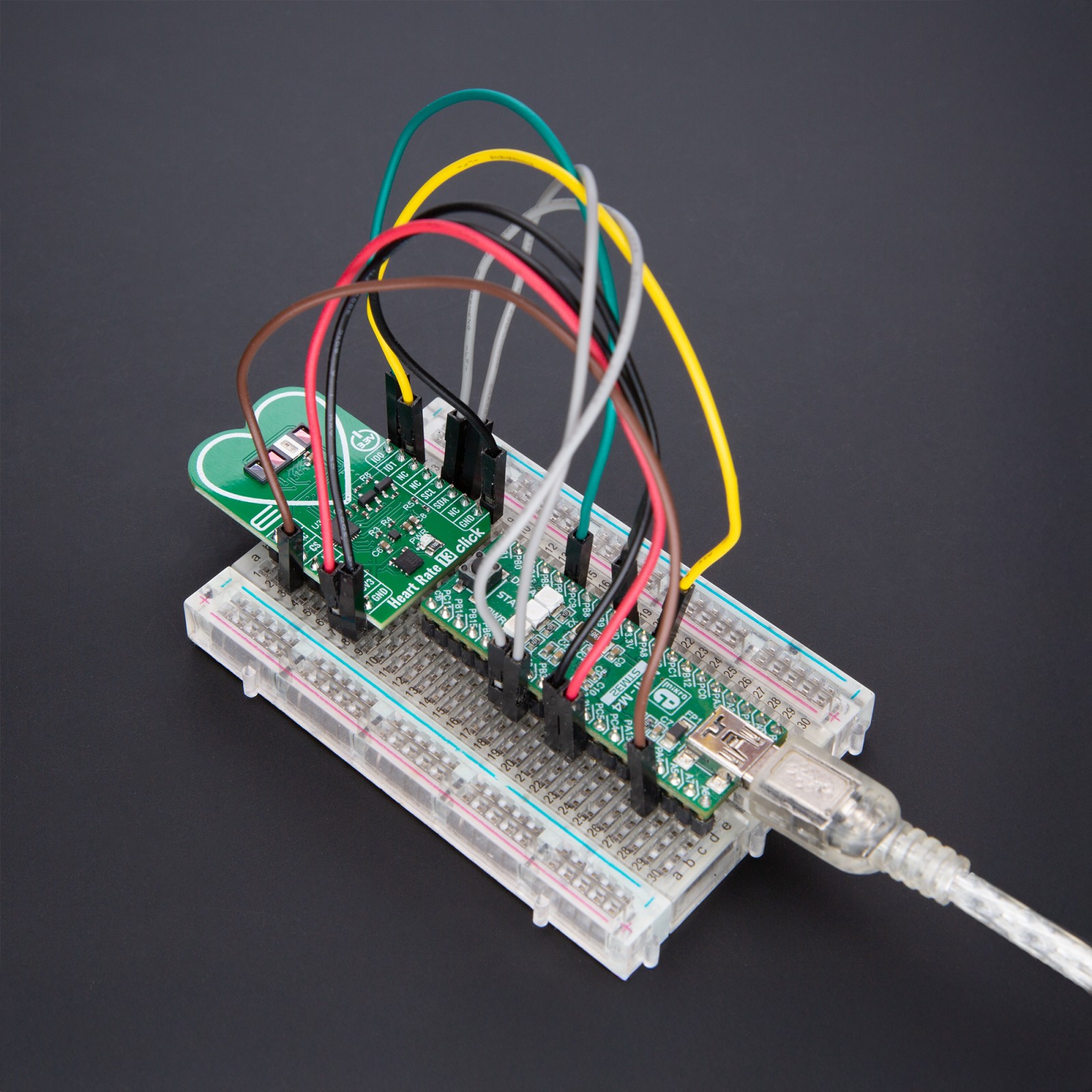 Heart Rate 13 Click - For vital sign monitoring | MIKROE-6490