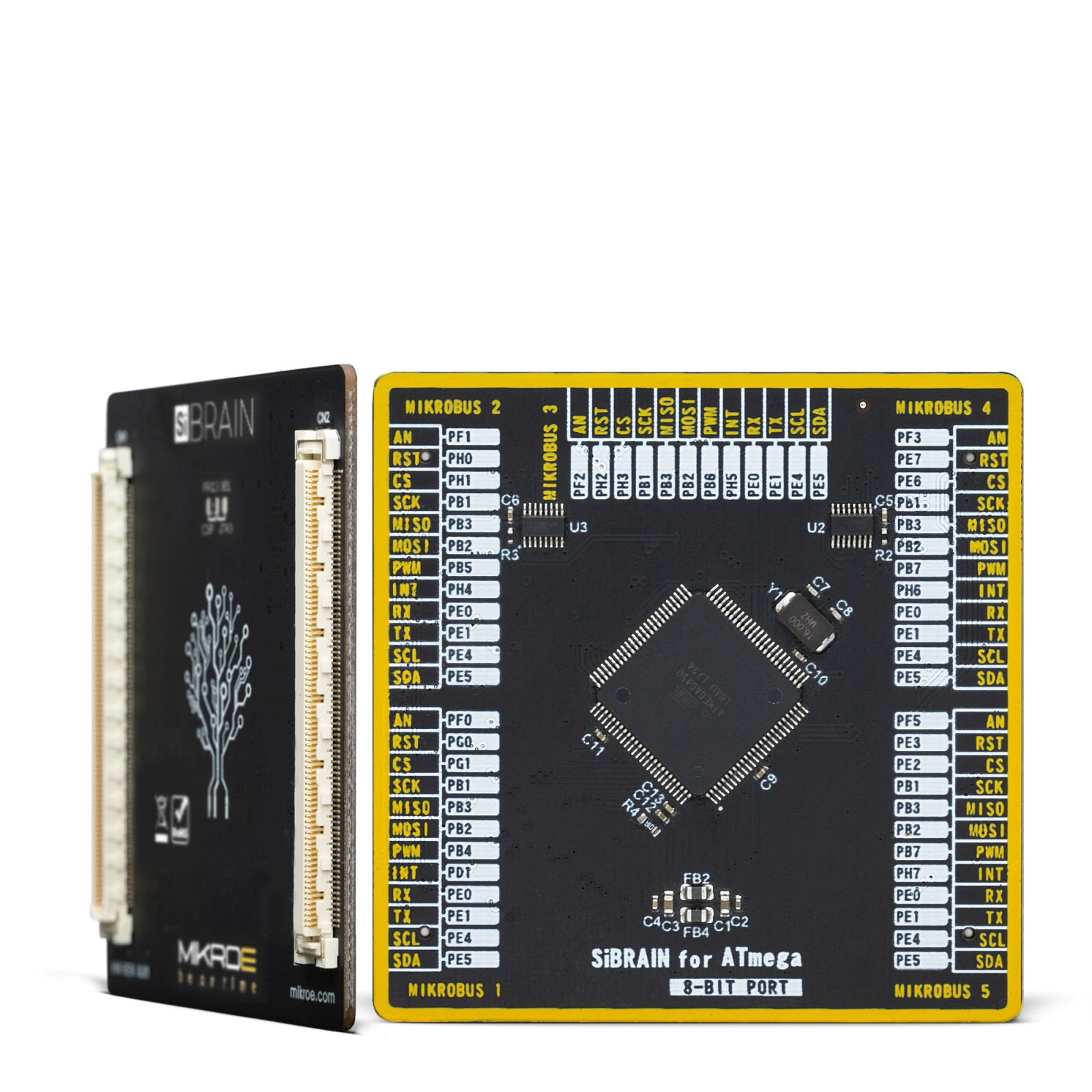 SiBRAIN for ATmega6450